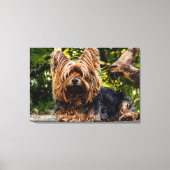 Yorkie hondendoek canvas afdruk (Voorkant)