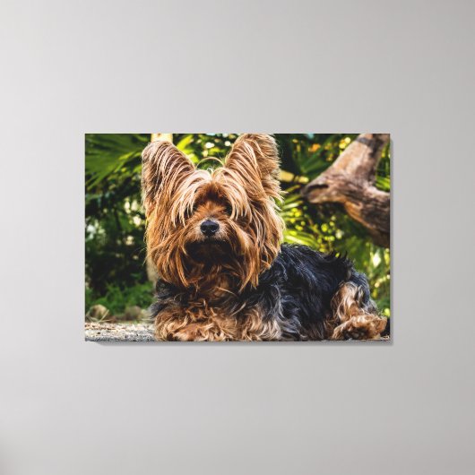 Yorkie hondendoek canvas afdruk (Voorkant)