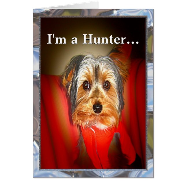 Yorkie Hunter  (Voorkant)