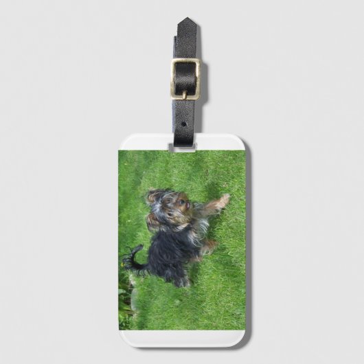 yorkie in beweging bagagelabel (Voorkant (verticaal))
