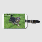 yorkie in beweging bagagelabel (Voorkant (horizontaal))