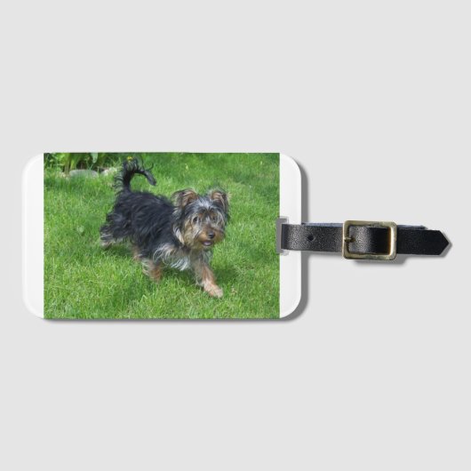 yorkie in beweging bagagelabel (Voorkant (horizontaal))