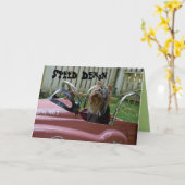 Yorkie in de auto Verjaardag Kaart (Gele Bloem)