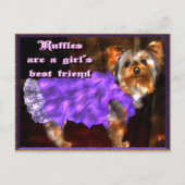 Yorkie in het Briefkaart Ruffles (Voorkant)