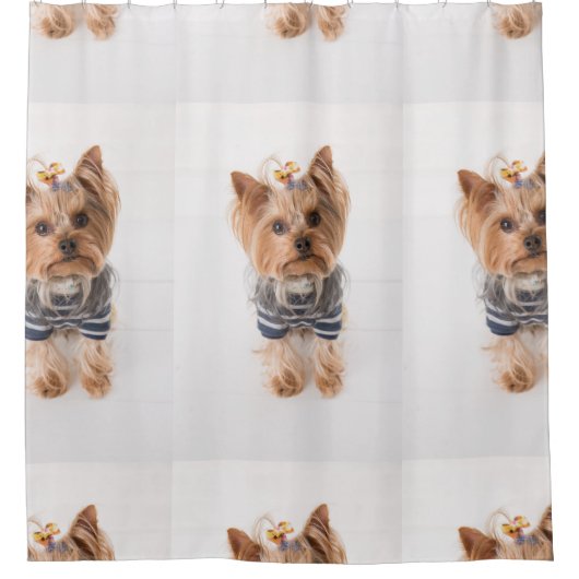 yorkie-in-sweater douchegordijn (Voorkant)