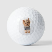 yorkie-in-sweater golfballen (Voorkant)