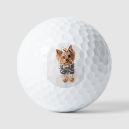 yorkie-in-sweater golfballen (Voorkant)
