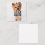 yorkie-in-sweater notitiekaartje (Voorkant / Achterkant)
