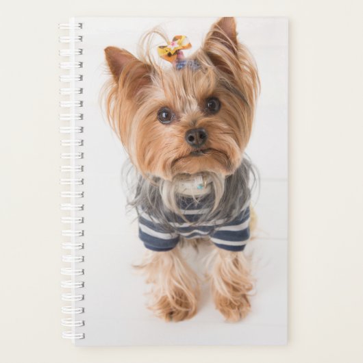 yorkie-in sweater planner (Voorkant)