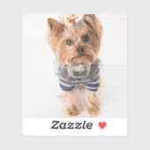 yorkie-in-sweater sticker (Vel)