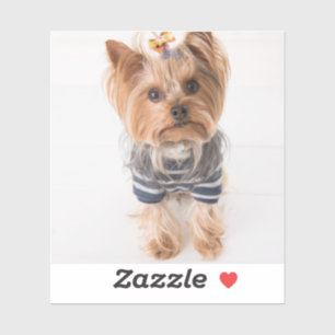 yorkie-in-sweater sticker