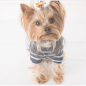 yorkie-in-sweater sticker (Voorkant)