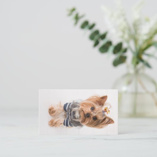 yorkie-in-sweater visitekaartje (Staand voorkant)