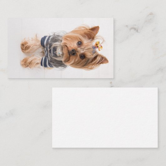 yorkie-in-sweater visitekaartje (Voorkant / Achterkant)