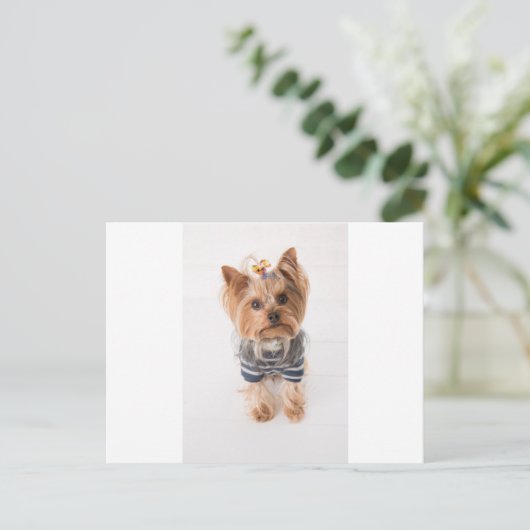 yorkie-in trui briefkaart (Staand voorkant)