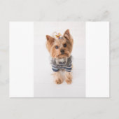 yorkie-in trui briefkaart (Voorkant)