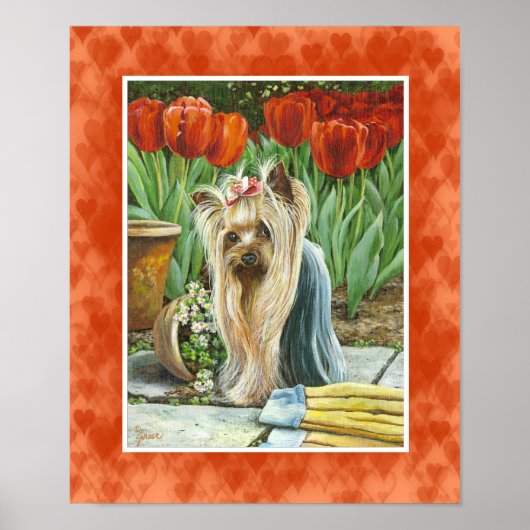 Yorkie in Tulip Garden Canvas Print (Voorkant)