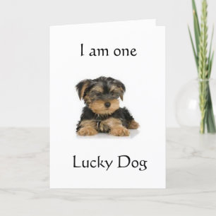 "YORKIE IS EEN GELUKKIGE HOND" VERJAARDAG WENSEN KAART