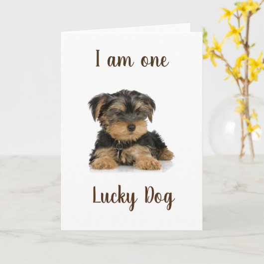"YORKIE IS ÉÉN LUCKY DOG" BIRTHDAY WISHEERT KAART (Gele Bloem)