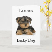 "YORKIE IS ÉÉN LUCKY DOG" BIRTHDAY WISHEERT KAART (Gele Bloem)