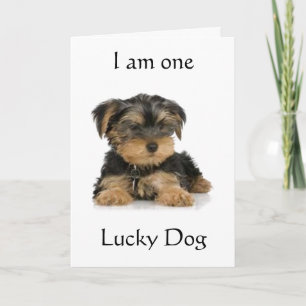 "YORKIE IS ÉÉN LUCKY DOG" BIRTHDAY WISHEERT KAART