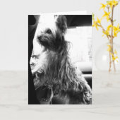 Yorkie Kaart (Gele Bloem)