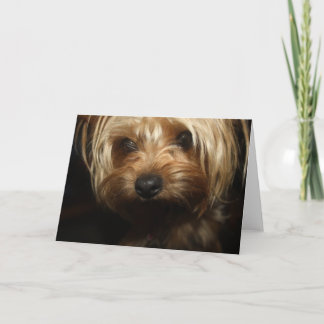 Yorkie Kaart