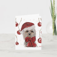 Yorkie