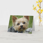 Yorkie Kaart (Gele Bloem)