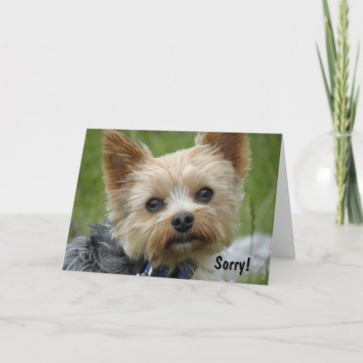 Yorkie Kaart (Voorkant)