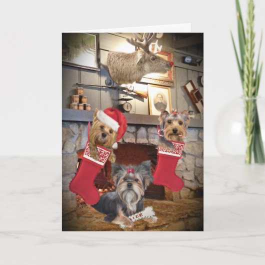 Yorkie Kerst open haard Kaarten (Voorkant)
