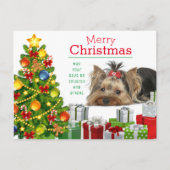 Yorkie kerstcadeaukaart voor feestdagen (Voorkant)