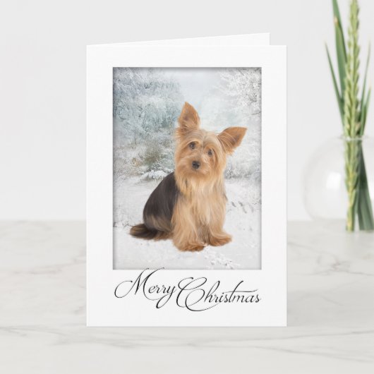 Yorkie kerstKaart Feestdagen Kaart (Voorkant)