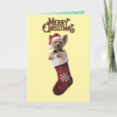 Yorkie Kerstmis Bedankkaart (Voorkant)
