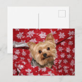 Yorkie Kerstmis Briefkaart (Voorkant / Achterkant)