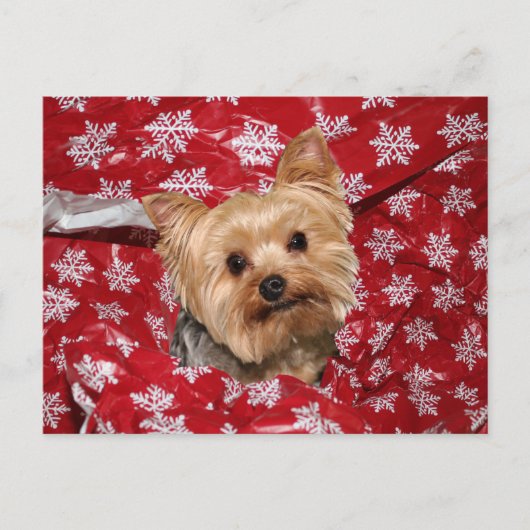 Yorkie Kerstmis Briefkaart (Voorkant)