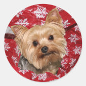 Yorkie Kerstmis Ronde Sticker (Voorkant)