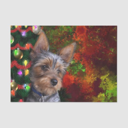 Yorkie Kerstmis Tissuepapier (Voorkant)