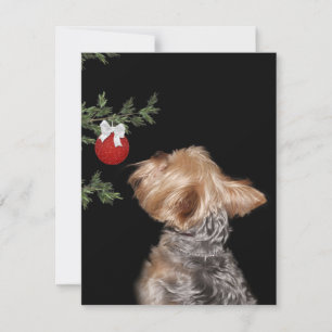 Yorkie-kerstverleiding Feestdagenkaart