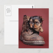 Yorkie laarzen briefkaart (Voorkant / Achterkant)