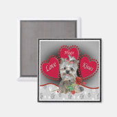 Yorkie Love Hug Kisses Magnet (Voorkant / Achterkant)