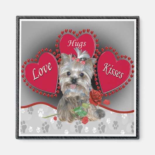 Yorkie Love Hug Kisses Magnet (Voorkant)