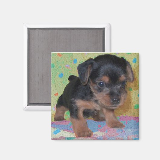 Yorkie Magnet (Voorkant / Achterkant)