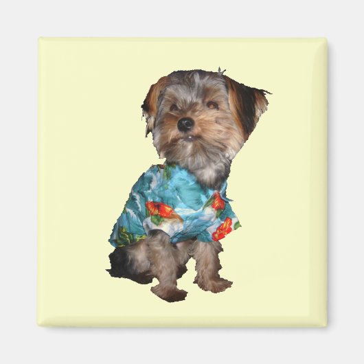 Yorkie Magnet (Voorkant)