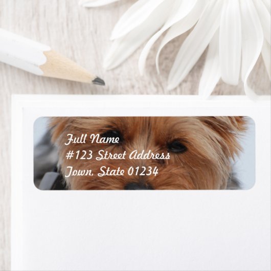 Yorkie Mailing Labels (Insitu)