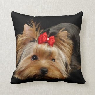 Yorkie met rode boogkussens kussen