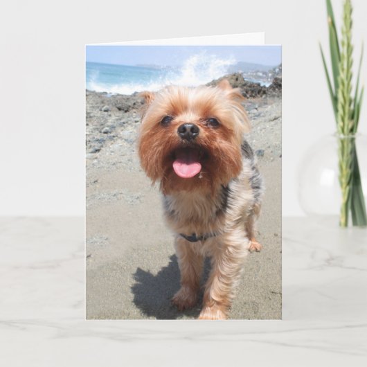 Yorkie mist je kaart (Voorkant)