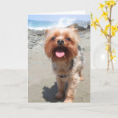 Yorkie mist je kaart (Gele Bloem)