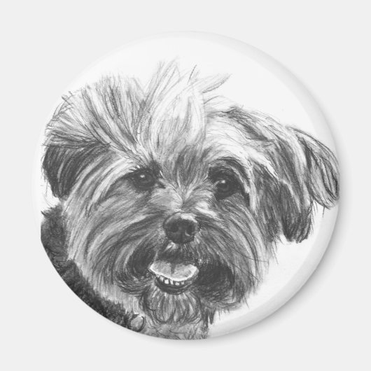 Yorkie Mix Charcoal Drawing Magneet (Voorkant)