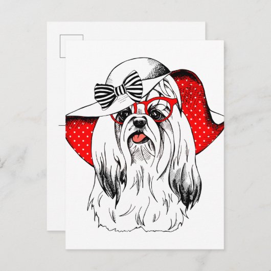 Yorkie Mode Shoot Briefkaart (Voorkant / Achterkant)